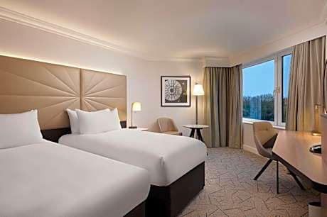 Two Beds Twin Hilton Deluxe Room