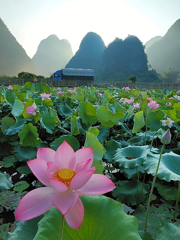 Yangshuo Tea Cozy--one way Free pick up from airport or TS 4 nights