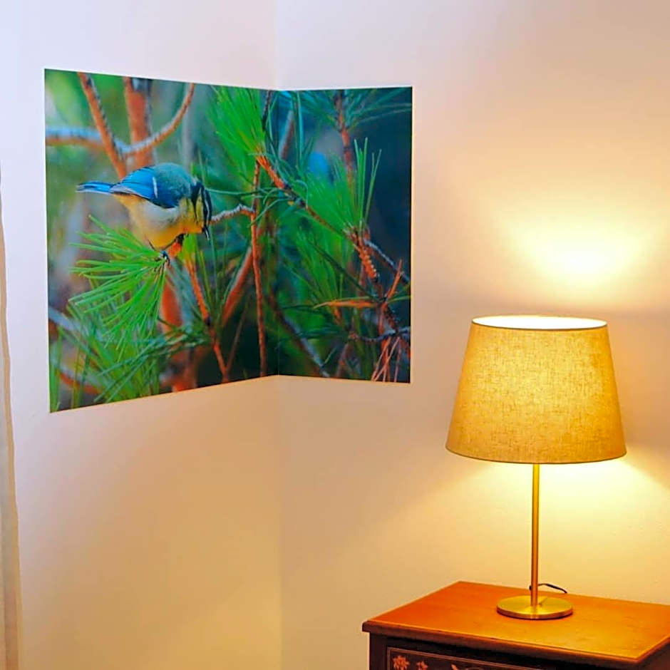 Monte da Floresta B&B