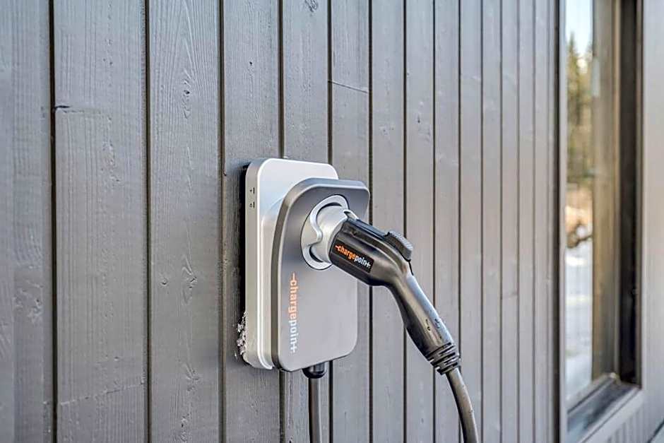 Initial / Solden / MSA