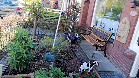 B&B Bij de koeien