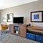 Hampton Inn By Hilton And Suites Dallas Plano East Tx