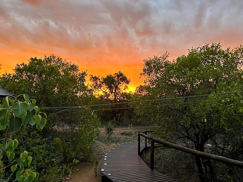 Out in Africa Wildlife Lodge