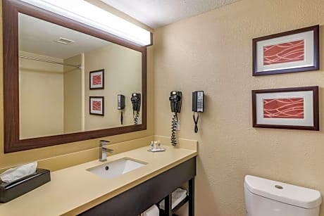 Comfort Inn & Suites near Six Flags
