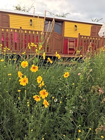 la roulotte de l'ami nature