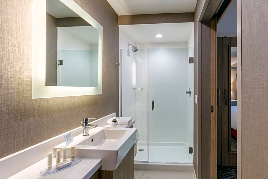 SpringHill Suites by Marriott Columbia