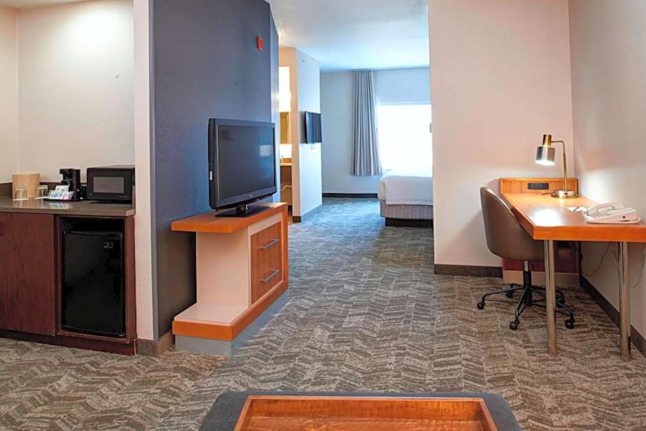 SpringHill Suites by Marriott Frankenmuth