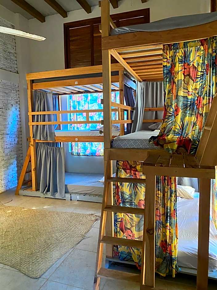La Palmera Hostel