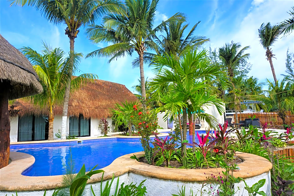 Mayan Mittoz