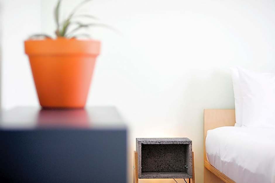 SALT LIPS - Azores Surf Experience