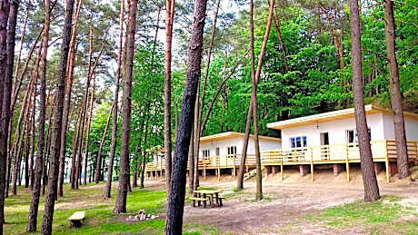 Jeleń