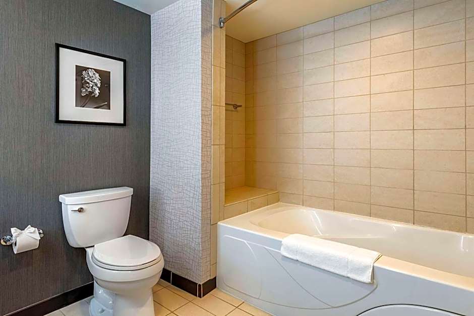 Cambria Hotel Minneapolis Maple Grove