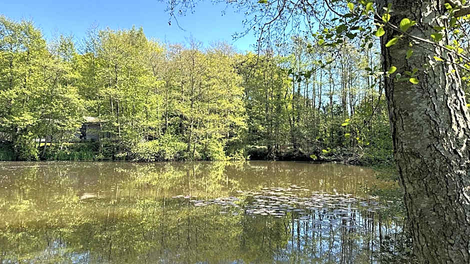 Warren Wood Country Park