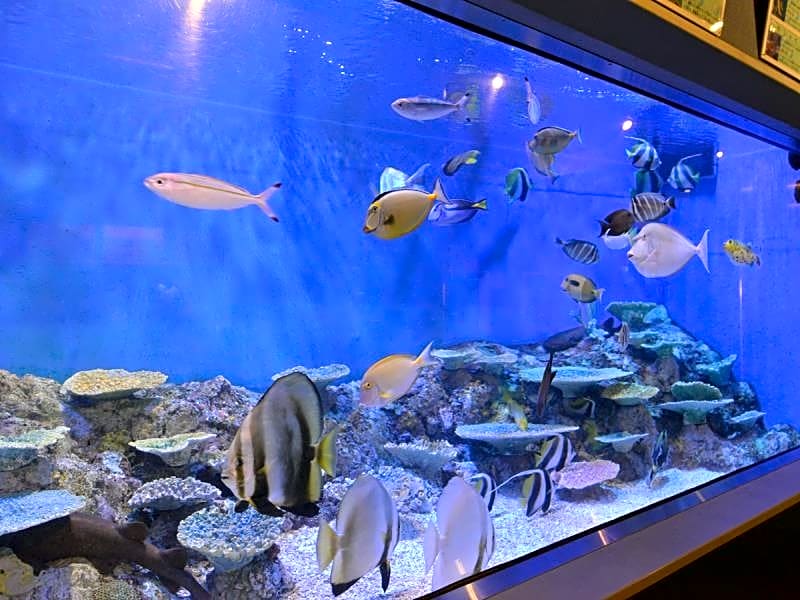 Hotel Takeshima