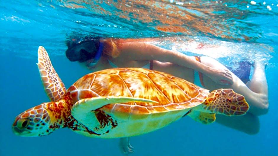 Anema Wellness Villa & Spa Gili Lombok - Diving Center PADI