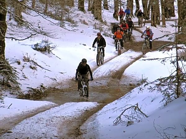 La Stella Danzante B&B