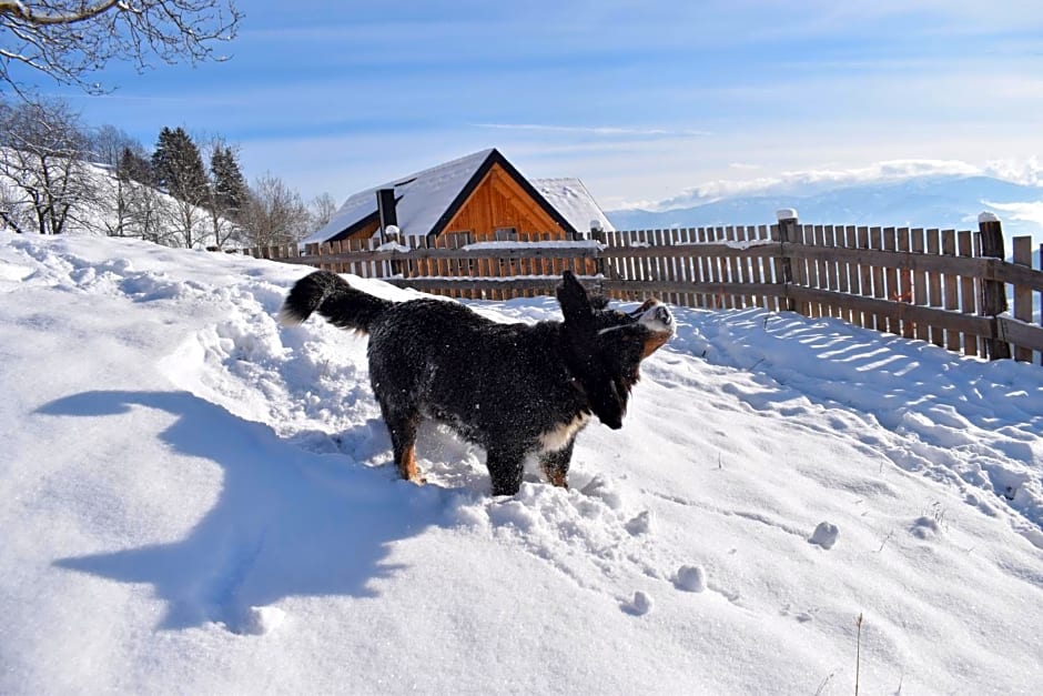 Ferienhaus Schleinzer