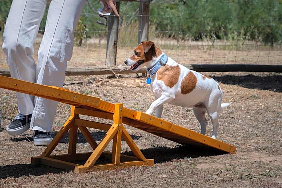 Hotel Vilar Rural d'Arnes