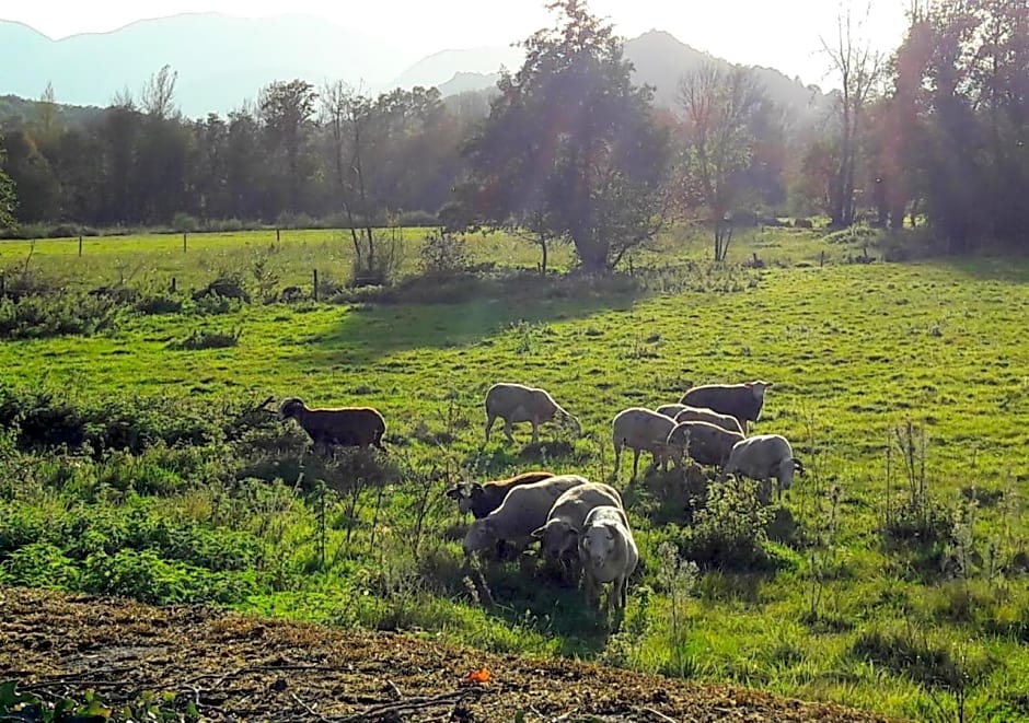 Domaine Lou Castet