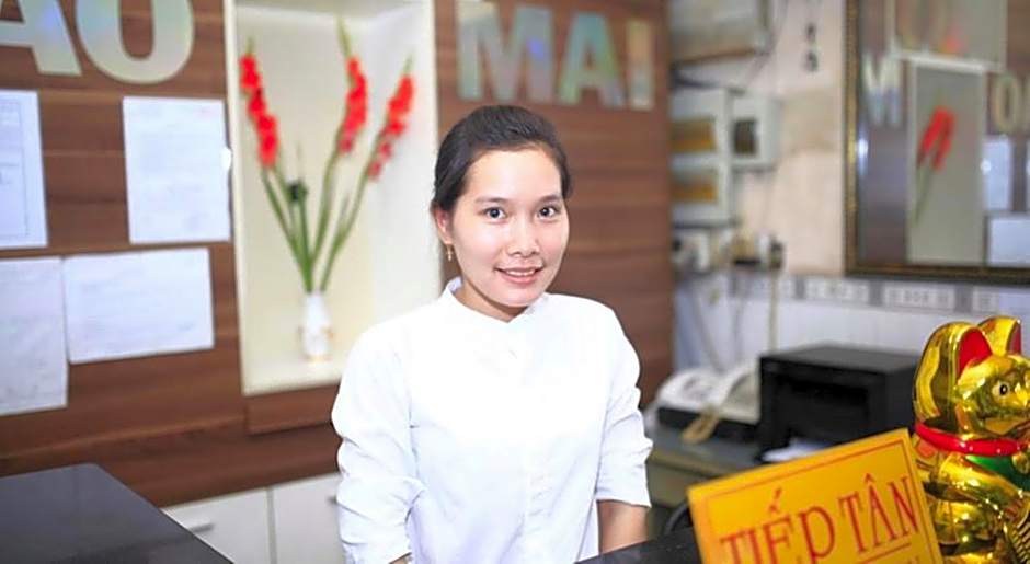 Sao Mai 896 Hotel