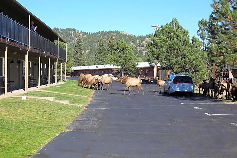 Quality Inn near Rocky Mountain National Park