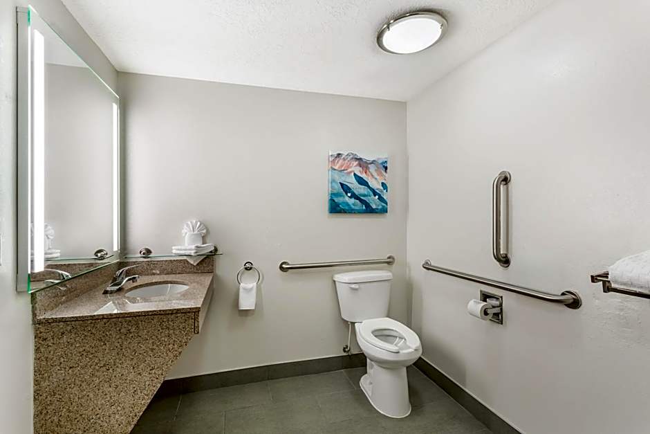 Best Western Plus Airport Inn & Suites