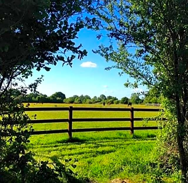 B&B Haras De La Cour Fleury – Saint-Michel-de-Livet, NY