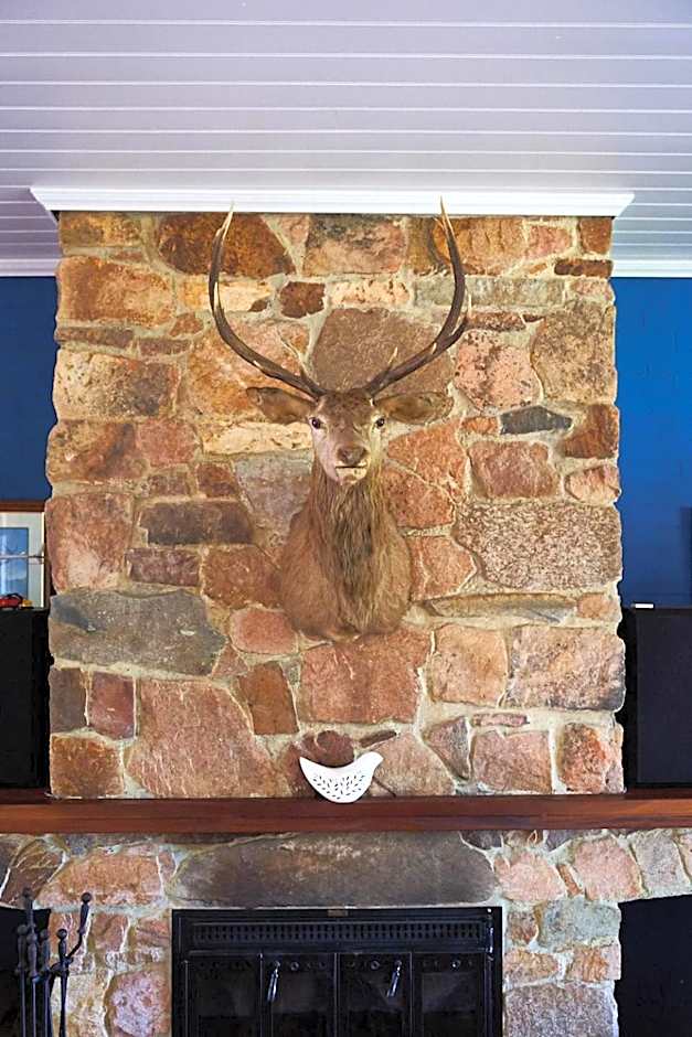 Victorias at Ewingsdale