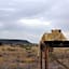 Weltevreden Game Lodge