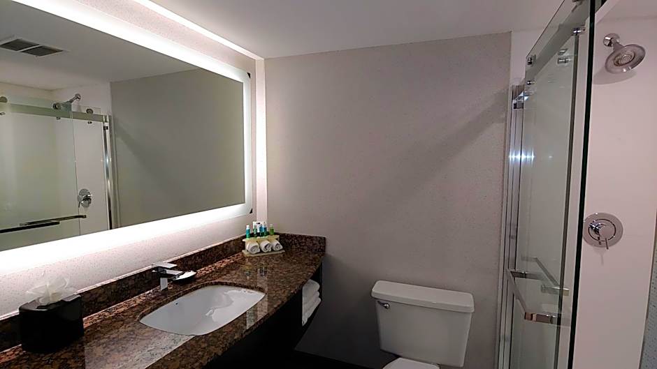 Holiday Inn Express Schaumburg-Rolling Meadows By IHG