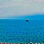 Hotel Shipka Beach