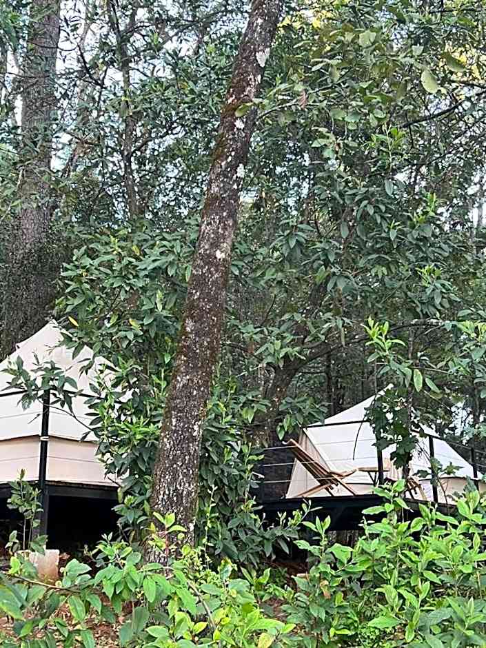 Hotel Oxú Solo adultos