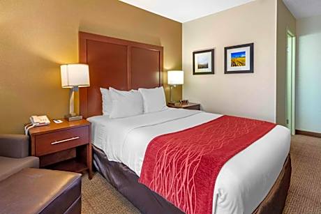 1 Queen Bed, Nonsmoking, Accessible