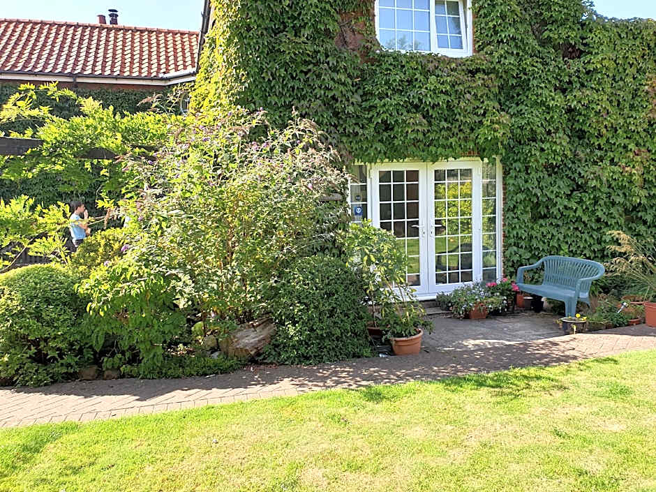 The Summer Room