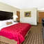 Ramada by Wyndham Asheville Southeast