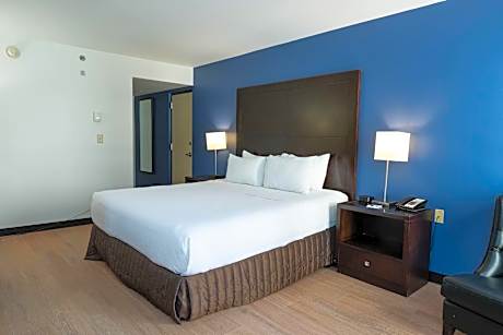 1 King Bed 1-Bedroom Suite Non-Smoking