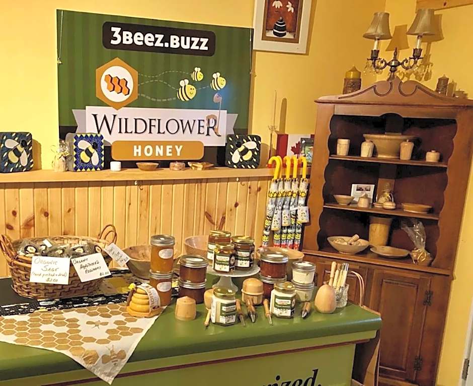 Our Valley View Bed & Breakfast