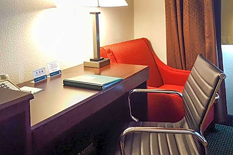 1 King Bed Nonsmoking Accessible