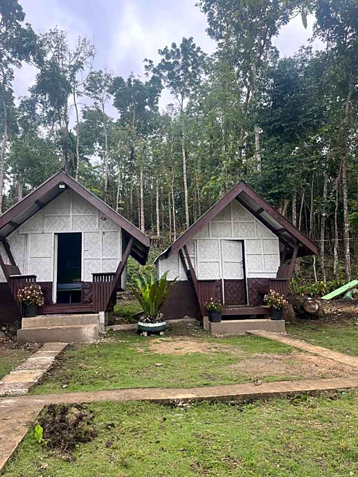 Roca's Homestay Backpackers Chalet