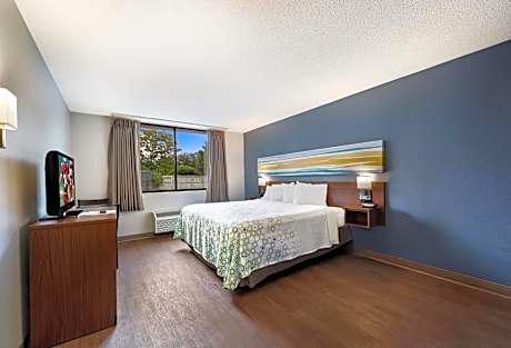 Studio King Room Non-Smoking