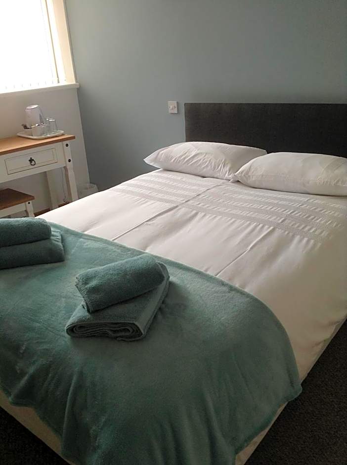 The Bear On The Square