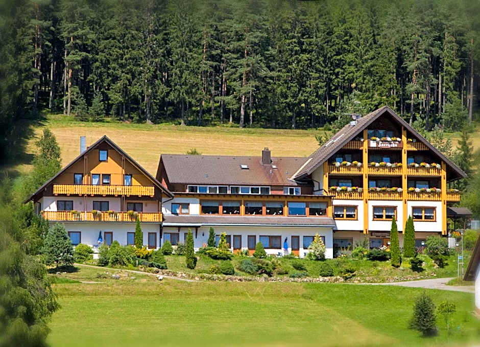 Auerhahn Bed and Breakfast - Black Forest - Waldhotel
