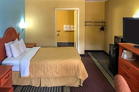 1 Double Bed  No Smoking  Accessible Room