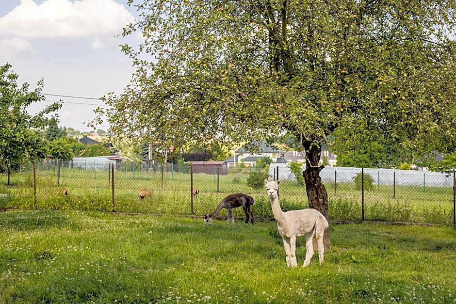 Eko Hotel Na Wierzynka & Park Pinokia
