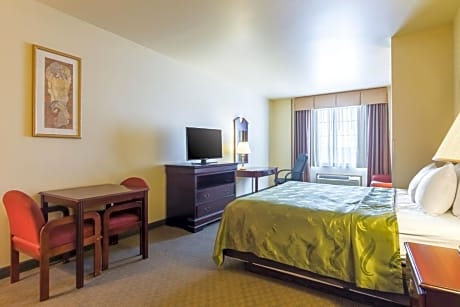 1 King Bed, Suite, Nonsmoking