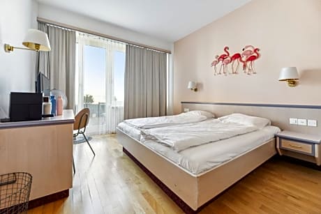 Double Room with Balcony and Sea View