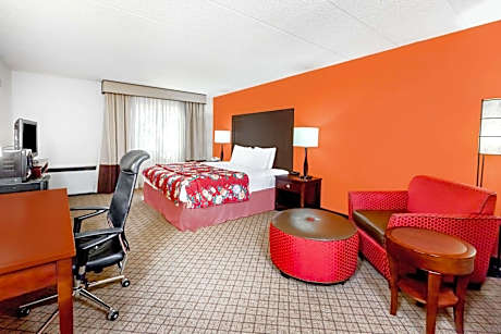 1 Queen Bed Mobility Accessible Room Non-Smoking
