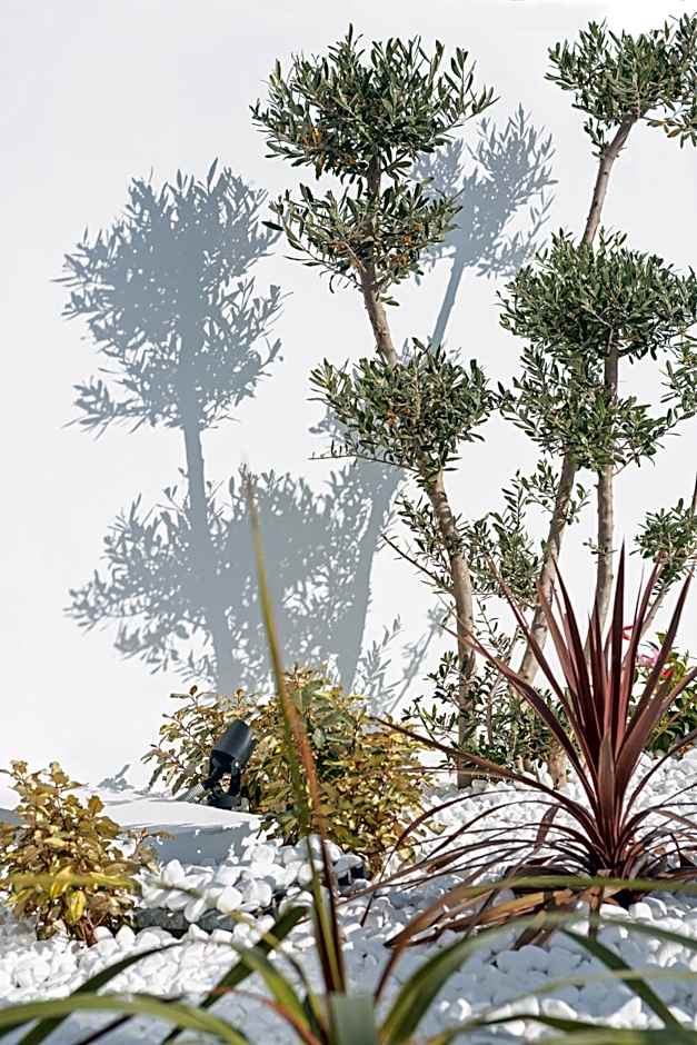 Sunprime Protaras Beach - Adults Only