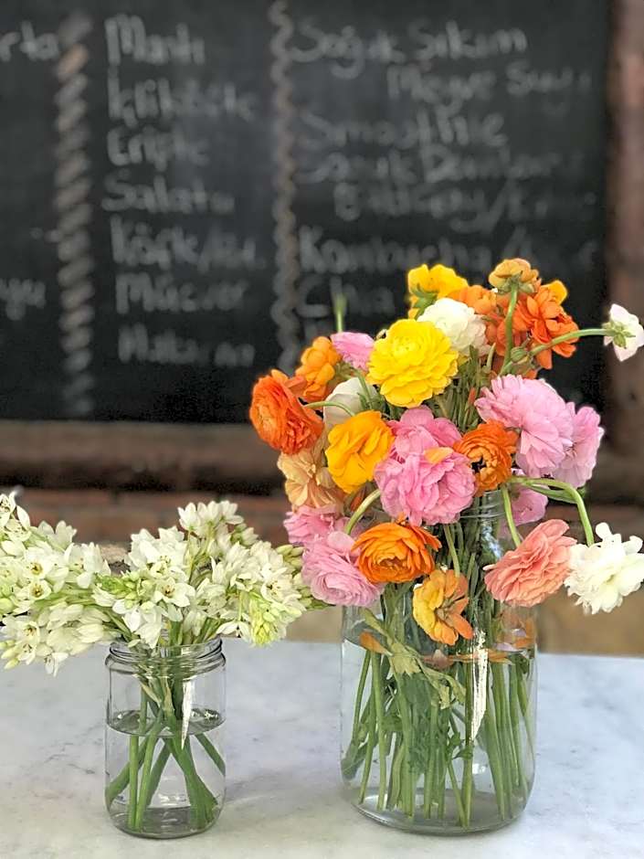 Alacati Zeytin Konak Hotel