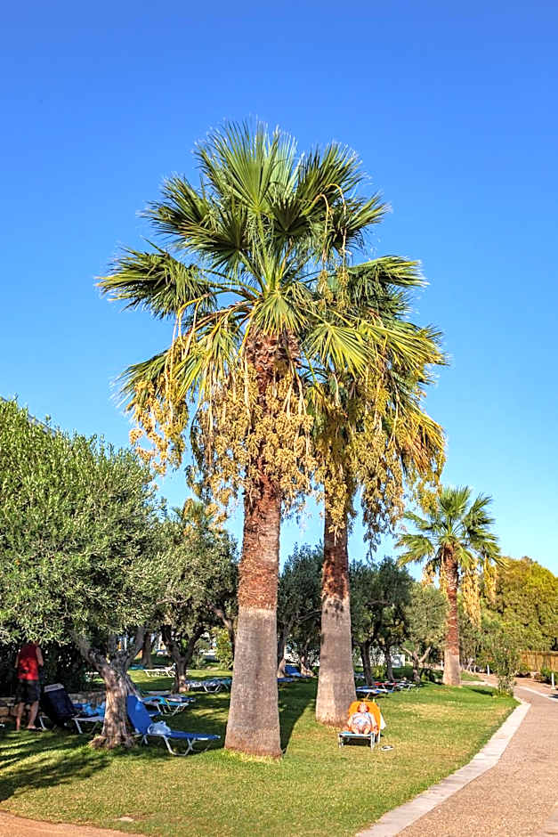 Calamos Beach Family Club